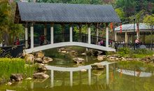 游人民公园 ?_700字