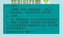 正视挫折，永不言败_700字