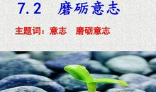 挫折让人坚强_550字