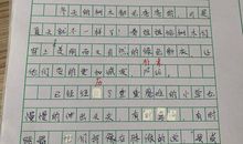 我爱春天作文：春天的灿烂_700字