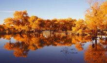 游沙山公园_650字