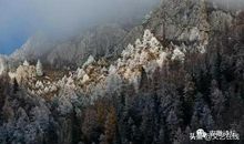 蒹葭苍苍，白水一方，孤雁独往，烟雨成霜_350字