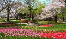 春天的公园_1000字