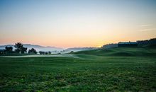 春天的乡村_800字