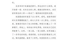 我的校园_1500字