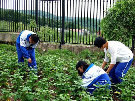这次我去了劳动基地，不仅我们丰富了我们的生活，还睁开了我们的眼睛，这是我们最令人难忘的经历！