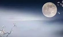 今年中秋，其乐融融_550字