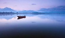 杨柳岸，你琴声里的背影_250字