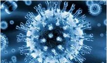 关于新型冠状病毒肺炎作文：新型冠状病毒作文篇三_1500字