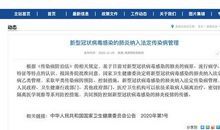 关于新型冠状病毒肺炎作文：关于疫情的作文篇三_900字