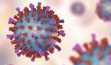 关于新型冠状病毒肺炎作文：新型冠状肺炎心得体会篇二_900字