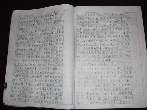 [愿文章]母亲_800字