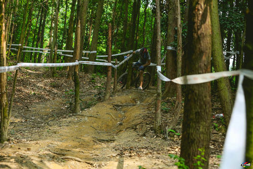 我死去的派对 - 叶玉宇_600字