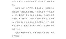 一位印象深刻的老师_300字