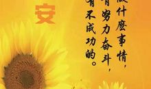 我的挫折_1500字