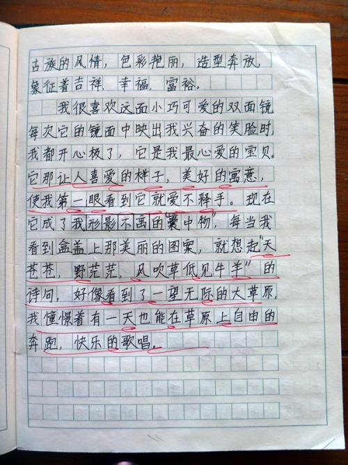 我想去四年级_350字