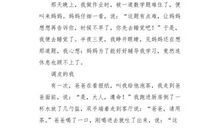 我的“新闻迷爸爸”_350字