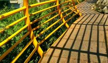 [小升初征文]学校前的狗尾草轻轻摇拽_650字