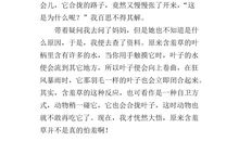 中考满分作文赏析：生活给了我宽容心_700字