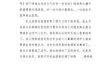 调皮的小妹妹_400字