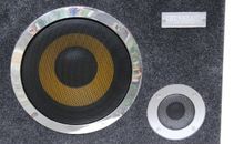 “高音喇叭”妈妈_350字