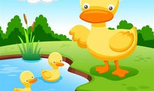 小小鸭子学游泳