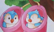 知恩图报的小老鼠