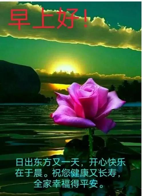 朋友温暖的问候选择