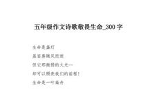 我们的廖老师_300字