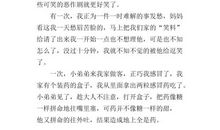 可爱的弟弟_250字