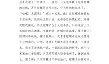 我那顽皮的小侄女儿_550字