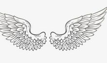 飞翔的翅膀_1000字