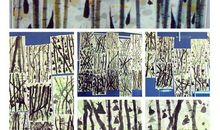 邂逅春天的春笋_700字