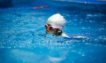 他是“游泳大将”_400字