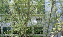 窗外的初春_1500字