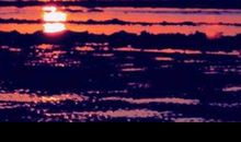 [春天来了]春神之歌_2000字