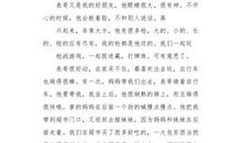 我的表哥_350字