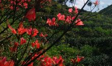 [春天来了]春色如画_200字