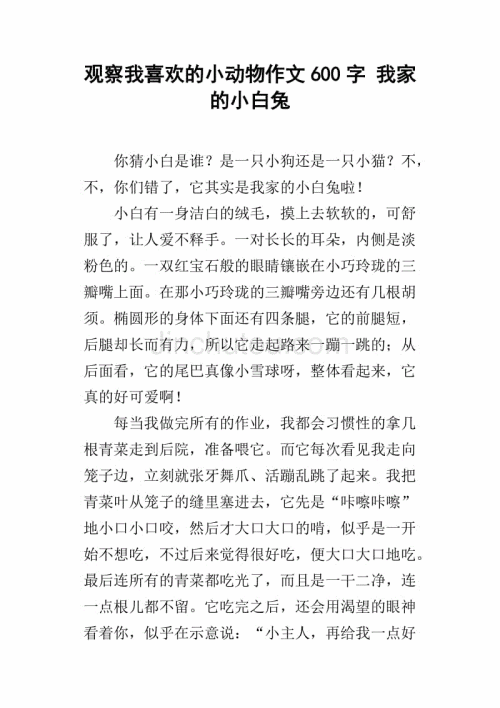 我的朋友陈宗阳_250字