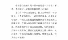 我的朋友陈宗阳_250字