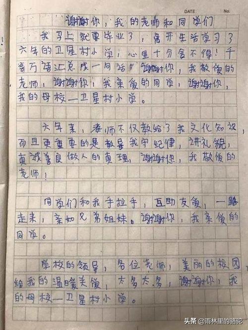 我最喜欢的语言老师_200字