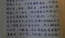 快乐的老妈_200字