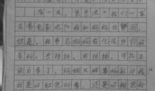 爱美的妈妈_450字