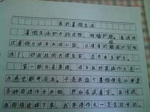 关于爸爸的成分：Stern Dad _650字