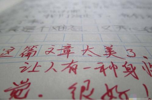 关于爸爸的成分：愚蠢的父亲_650字