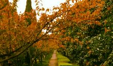 四季的早晨_1000字