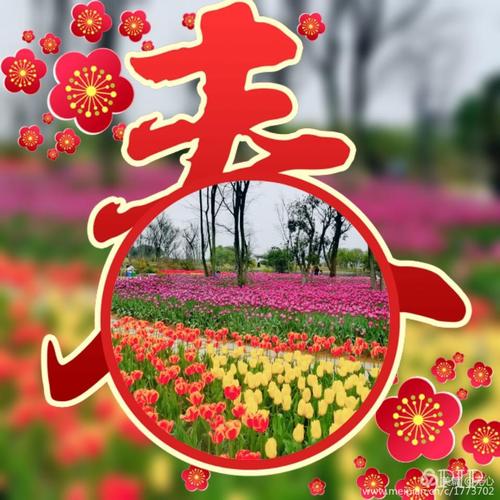 “钱钱，你还没去过山。山区的莲花，丝绸草，莉莉到处都是。你不必捡起来。你会成长到你的院子里。”她跟我说微笑的语气是非常温柔的，“春天在山上，真是太美了。特别是雨，小叶是柔嫩的。”