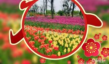 [春天来了]不忘，春之约_1200字