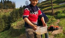 [春天来了]小春和我_750字