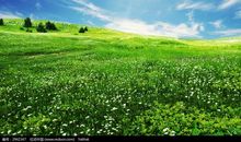 [春天来了]春?植物天下_1000字